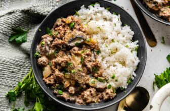 Floor Beef Stroganoff and Rice