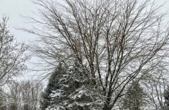 The Little Issues E-newsletter #451 – Life, laughter, and plenty of nice meals!