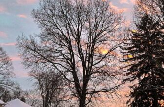 The Little Issues Publication #452 – Life, laughter, and plenty of nice meals!