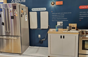 Sister, are you able to spare $12,000 to assist me decarbonize my dwelling?