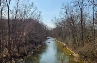 The Little Issues Publication #460 – Life, laughter, and plenty of nice meals!