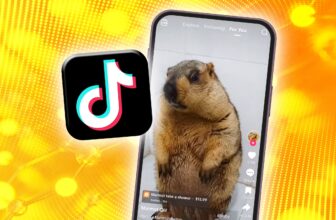 How one can reset TikTok algorithm