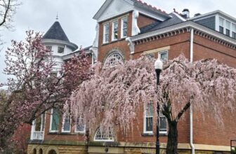 The Little Issues Publication #463 – Life, laughter, and many nice meals!