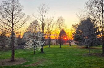 The Little Issues Publication #464 – Life, laughter, and plenty of nice meals!