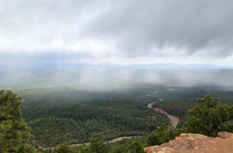 The Little Issues E-newsletter #468 -Life, laughter, and many nice meals!