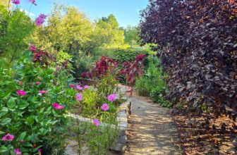 The Little Issues Publication #486 – Life, laughter, and plenty of nice meals!